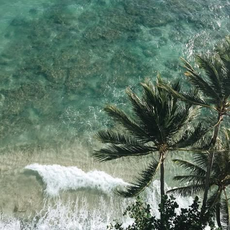 Tropical Aesthetic Summer Vibes, Tropical Grunge, Aesthetic Summer Vibes, Tropical Aesthetic, Ocean Nature, Shotting Photo, Green Ocean, Ocean Vibes, Tropical Summer