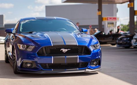 Descargar fondos de pantalla Ford Mustang, Azul, coche deportivo, el ajuste de la Mustang, vista de frente, coches Americanos, Ford Mustang Front View, Mustang Blue, Mustang Tuning, Autos Ford, Blue Mustang, Chevrolet Corvette C7, Vista Frontal, Gt 500, Mustang Gt500