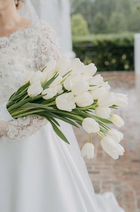 Tulip Hand Bouquet Wedding, Tulip Hand Bouquet, White Tulip Bouquet Wedding, White Tulip Wedding Bouquet, Tulips Bridal Bouquet, White Tulip Wedding, Banquet Flower, Tulip Wedding Bouquet, Tulip Bouquet Wedding