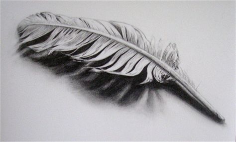 Feather Sketch, Feather Drawing, Feather Tattoo Design, Lady Justice, Feather Tattoo, Feather Art, Feather Tattoos, 3d Drawings, Skin Art