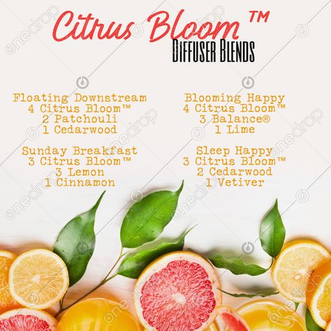 Citrus Bloom Diffuser Blends, Diffuser Cleaning, Doterra Diffuser, Doterra Diffuser Blends, Product Highlight, Doterra Essential Oils Recipes, Doterra Wellness Advocate, Square Graphic, Essential Oil Diffuser Recipes