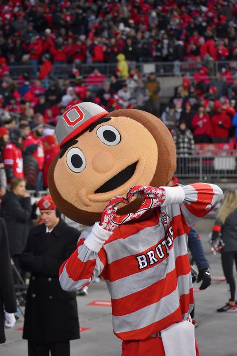 Ohio State University Aesthetic, Football Widgets, Ohio State Mascot, Brutus The Buckeye, Ohio State Wallpaper, Ohio State College, Osu Buckeyes Football, Ohio State Logo, Brutus Buckeye