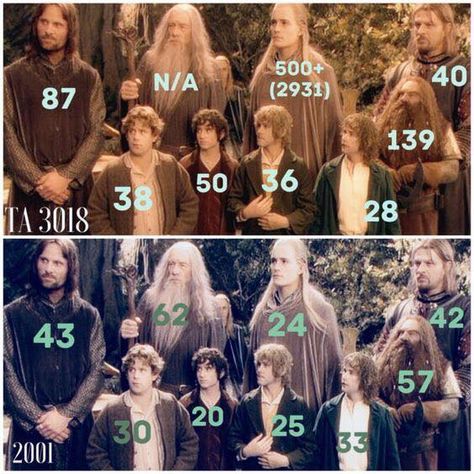 Okay, according to Tolkien Gateway that age for Legolas is not necessarily true and his age was never stated in any of the books. T. A. 2931 is actually the year Aragorn was born in. Lord Of The Ring, Lotr Funny, The Hobbit Movies, Buku Harry Potter, Into The West, Septième Art, Fellowship Of The Ring, Thranduil, Jrr Tolkien