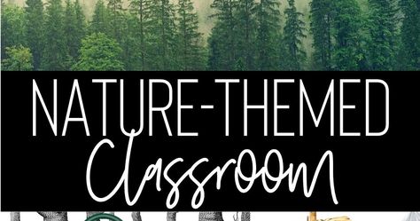 Building Book Love : Nature Themed Classroom Decor Nature Themed Classroom Decor, Nature Themed Classroom, Nature Classroom Decor, Calming Classroom Decor, Calming Classroom, Nature Classroom, 7th Grade Classroom, Natural Classroom, Themed Classroom Decor