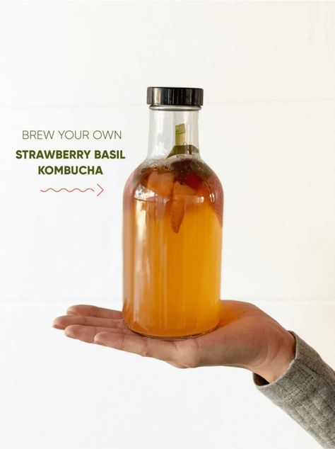 18 Best Kombucha Recipe Flavors | Craft a Brew Blog Best Kombucha, Kombucha Flavors, Kiwi Juice, How To Brew Kombucha, Kombucha Recipe, Strawberry Basil, Lime Basil, Shake Bottle, Butterfly Pea Flower