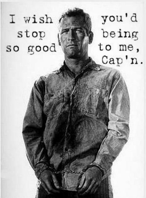 Paul Newman: Cool Hand Luke Cool Hand Luke Quotes, Paul Newman Joanne Woodward, Cool Hand Luke, See Movie, Paul Newman, Movie Lines, Tv Quotes, Love Movie, Classic Movies