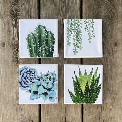 Acrylic painted succulents on stretched canvas Painted Plants On Canvas, Cactus Canvas Art, Acrylic Paint Plants, Small Canvas Wall Art, 4 Square Painting Ideas, 4 Square Canvas Painting Ideas, Painting Ideas For Square Canvas, Paintings Of Succulents, Simple Plant Painting Ideas