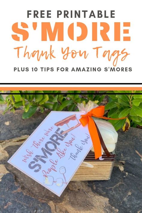 Fudge Stripe Cookies, Campfire Smores, Campfire S'mores, Chocolate Covered Cookies, Smore Recipes, Secret Pal, Volunteer Gifts, Usa Food, Pastors Appreciation