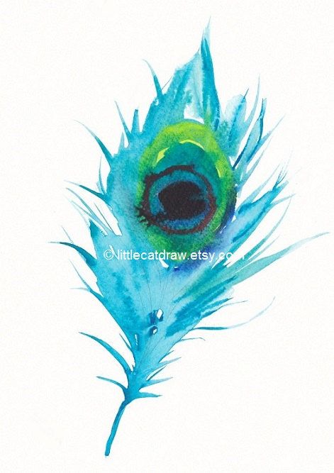 Peacock Feather, ,Watercolor Painting, Art Print, Littlecatdraw - 5x7 Watercolor Peacock Feather, Feather Watercolor, Tattoo Feather, Watercolor Peacock, Peacock Painting, Peacock Art, Feather Tattoo, Feather Art, Feather Tattoos