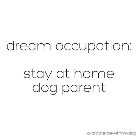 77 Likes, 5 Comments - Pet House (@pet.house.online) on Instagram: “Ain't that the truth 🐶” Dog Mom Quotes Humor, Stay At Home Dog Mom, Dog Mom Quotes, Home Dog, Stay At Home Parents, Funny Mom Quotes, Word Definitions, Pet House, Dog Parents