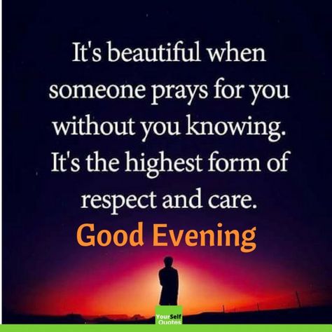 Good Evening Sms, Good Evening Quotes, Good Evening Photos, Good Evening Images, Good Evening Love, Evening Images, Good Evening Messages, Good Evening Wishes, Lovely Good Morning Images