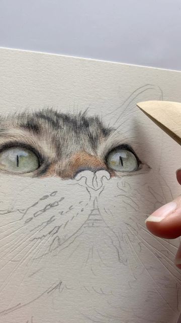 Bonny Snowdon on Instagram: "An easy way to create fine white hairs on smooth paper with coloured pencils 🥰 #indentingtechnique #colouredpencils #catdrawing #drawingcats #drawingtechnique #drawingtips" How To Draw Fur, Tips For Drawing, Pencil Artists, Pencil Work, Draw Realistic, Colored Pencil Artwork, Dog Sketch, Art Painting Gallery, Drawing For Beginners