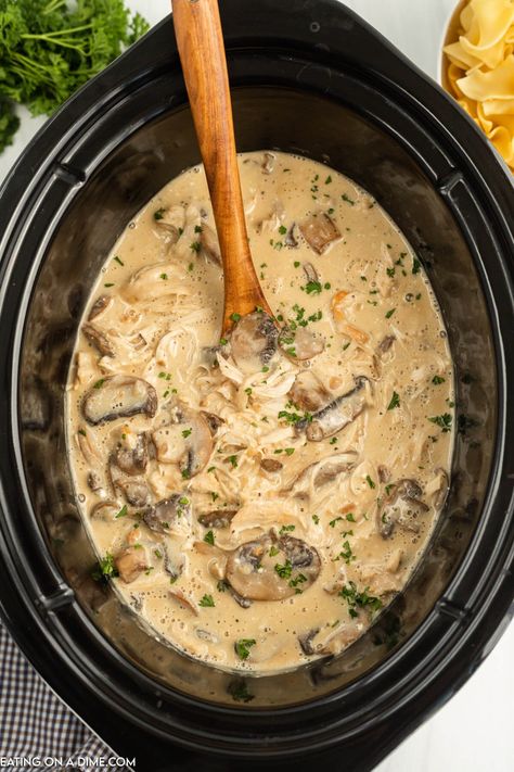 Slow Cooker Chicken Stroganoff Stroganoff Slow Cooker, Slow Cooker Chicken Stroganoff, Beef Stroganoff Crockpot, Ranch Chicken Recipes, Chicken Stroganoff, Stroganoff Recipe, Crockpot Pork, Best Slow Cooker, Crockpot Beef