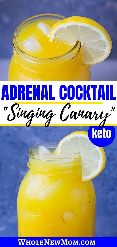 Skip the Coffee and Candy and Get a Healthy Energy Boost instead with this Adrenal Cocktail Recipe--My version of the "Singing Canary" Drink. This Adrenal Tonic is LOADED with healthy ingredients like turmeric, vitamin C, and more. Bonus--it works for the keto diet too! Side note: some call this an adrenal fatigue cocktail, but physicians aren't sure that adrenal fatigue exists--either way, this should help feel better!| energy boost cocktail | adrenal fatigue cocktail || #energytonic Singing Canary Drink, Singing Canary, Adrenal Cocktail, Turmeric Vitamins, Health Tonic, Adrenal Health, Trim Healthy Mama Recipes, Healthier Choices, Vegan Protein Powder