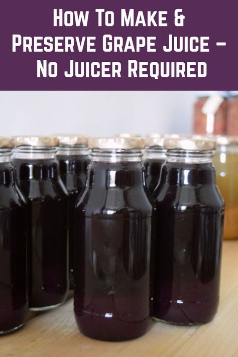 Things To Do With Concord Grapes, Canning Concord Grape Juice, Fresh Concord Grape Recipes, Canning Grape Juice Concentrate, Grape Juice In Instant Pot, How To Make Grape Juice From Fresh Grapes, How To Can Concord Grape Juice, Can Grape Juice, Water Bath Canning Grape Juice