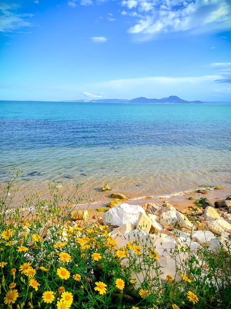 Mediterranean Vacation, Tunis Tunisia, Swimming Photography, Sidi Bou Said, Surprises For Husband, Beach Swimming, Best Beaches, Mediterranean Sea, Tunisia