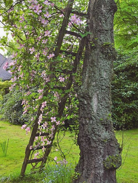 wooden ladder wrapped in climbing plants homemade garden decorations