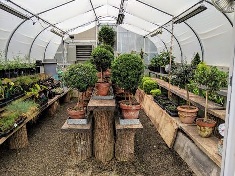 Greenhouse Tunnel, Poly Tunnel, High Tunnel, Bedford New York, Garden Cover, Tunnel Greenhouse, Cold Frames, Diy Greenhouse Plans, White Pine Tree