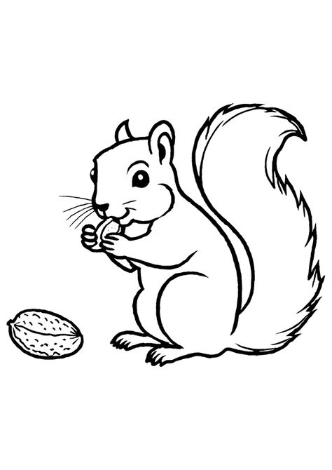 Free Coloring Page Squirrel Coloring Page, Squirrel Art, Animals Coloring, Animal Coloring Pages, Squirrels, Free Coloring Pages, Free Coloring, Coloring Page, Peanut