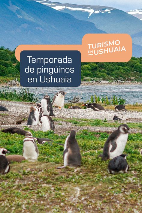 Ushuaia, Bucket List, Voyage