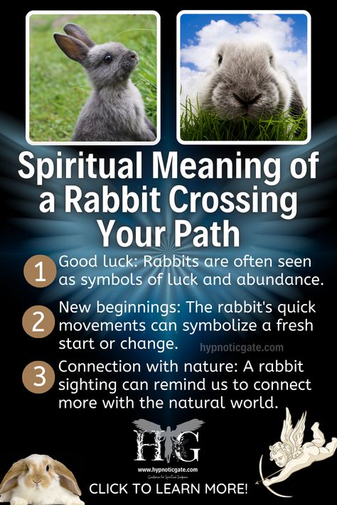 Bunny Spirit Animal, Rabbit Spirit Animal Meaning, Rabbit Symbolism, Rabbit Totem, Jennifer Anderson, Rabbit Sign, Hippie Things, Spirit Animal Meaning, Animal Meanings