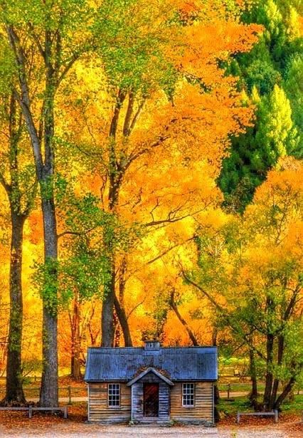 https://www.facebook.com/MyOldeCountryHome/photos/pcb.1153683344832742/1153682508166159/?type=3&theater Autumn Cabin, 강아지 그림, Autumn Scenes, Autumn Scenery, Autumn Beauty, Fall Pictures, Favorite Season, Lombok, Cabins In The Woods