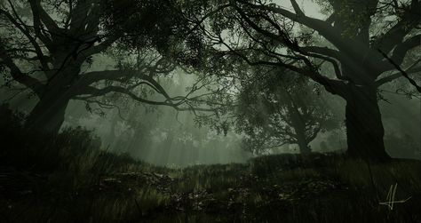 Dark Forest, Alis A on ArtStation at https://www.artstation.com/artwork/0XY06E Dark Forest Computer Wallpaper, Dark Forest Aesthetics, Dark Green Forest Wallpaper Desktop, Forest Wallpaper Macbook, Pc Backgrounds 1920x1080, Moody Computer Wallpaper, Dark Forest Aesthetic Wallpaper Laptop, 1920 X 1080 Hd Wallpaper Desktop Aesthetic Dark, Dark Background For Laptop