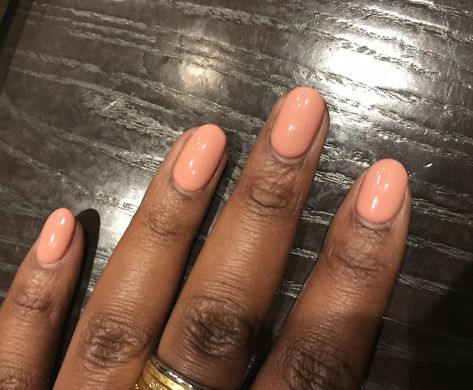 Summer Peach | gel polish | rounded nails Peach Toe Nails, Peach Gel Polish, Rounded Nails, Peach Colored Nails, Peach Nails, Fashion For Petite Women, Black Queens, Work Nails, Classic Nails