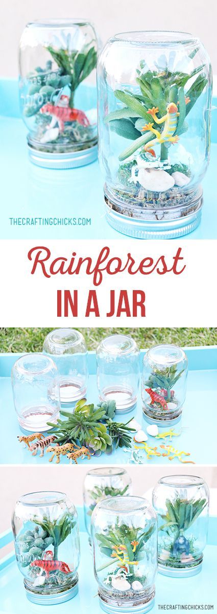 Rainforest in a jar - use faux succulents and a mason jar to create a mini Rainforest - crafts for kids - kids birthday gift - party favor Rain Forest Projects For Kids, Preschool Rainforest, Rainforest Crafts, Jungle Survival, Diy Gifts In A Jar, Camp Crafts, Vbs Crafts, Diy Gifts For Kids, Birthday Crafts