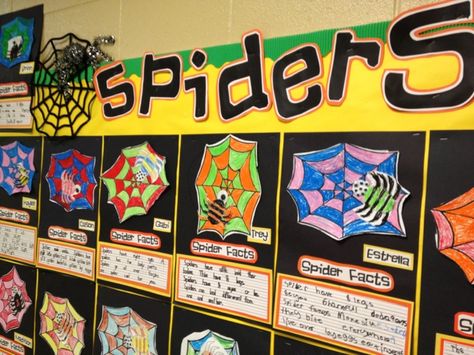 Spider Unit, November Bulletin Boards, Esl Kids, Teacher Bulletin Boards, Preschool Bulletin Boards, Spider Art, Classroom Bulletin Boards, School Bulletin Boards, Classroom Displays