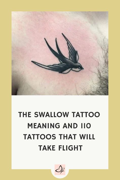 Explore the fascinating history and symbolism behind swallow tattoos. Discover 110 unique designs featuring these beautiful birds that are sure to inspire your next ink session. Dive into the world of tattoo art with these stunning swallow tattoo ideas. Vintage Swallow Tattoo, Swallow Neck Tattoo, Swallow Bird Tattoo Meaning, Swallow Tattoo Ideas, Tattoo Sweater, Swallow Tattoo Meaning, Swallow Tattoos, Swallow Tattoo Design, Swallow Bird Tattoos