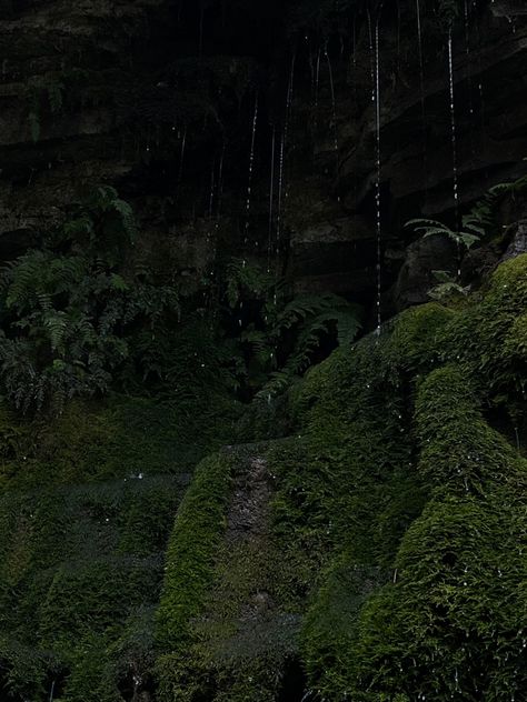 Water drops over lush cavern in the Adirondack Mountains. Photo taken at the Ausable Chasm. #fairy #fairycore #aesthetic #photography #adirondack #ny #newyork #newyorkstate #upstatenewyork #mountains #summer #photoinspo #photoinspiration #darkacademia #cottagecore #indie #nature #natureaesthetic #vacation #naturecore Cavern Aesthetic, Mountains Photo, Fairycore Aesthetic, Adirondack Mountains, New York State, Nature Aesthetic, Draco Malfoy, Water Drops, Aesthetic Photography