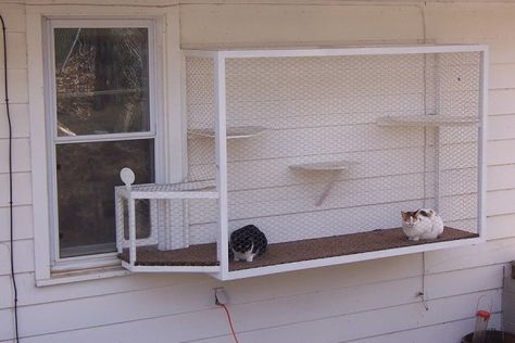 Picture Gallery | Cat Terrace Cat Tunnel Outdoor Window, Cat Patio Enclosure Window, Cat Door Window Insert, Diy Cat Window Box Ideas, Cat Window Perch Outdoor, Window Catio Ideas For Cats Outdoor, Cat Runs Outdoor, Window Catio Diy, Diy Cat Door In Door