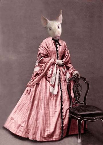 Peggy - Vintage Pig Print - Anthropomorphic - Altered Photo - Funny Animal - Victorian Pig - Collage Art - Pig in Pink Dress Pig Dress, Pig Print, Altered Photo, 5x7 Print, Old Photographs, Female Photographers, Animal Heads, Funny Animal, Funny Photos