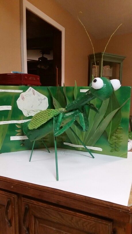 Brodies 3D Praying Mantis Model Insect Model School Project, Praying Mantis Craft, Insect Project, Junk Modelling, Ant Crafts, Babysitting Crafts, Bugs Preschool, Insect Crafts, Model School