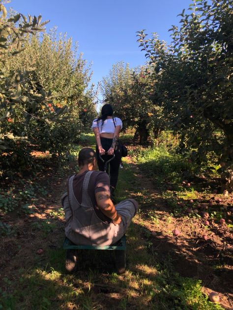 Friend Fall Aesthetic, Apple Picking With Boyfriend, Apple Picking Aesthetic Couple, Apple Picking Photoshoot Friends, Couples Fall Aesthetic, Autumn Friends Aesthetic, Apple Picking Couple, Fall Relationship Aesthetic, Fall Friends Aesthetic