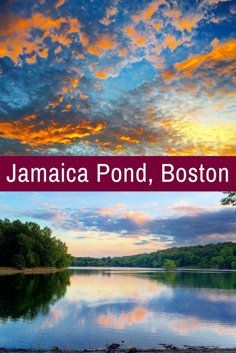 Jamaica Pond is one of the best places to visit in Boston, MA, yet most visitors and tourists don't know it exists! Places To Visit In Boston, Jamaica Plain Boston, Fun Places To Visit, Manual Driving, Visit Jamaica, Island Pictures, New England States, Jamaica Travel, Big Cities