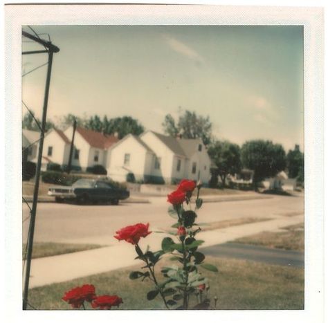 Vintage Americana Aesthetic, Americana Summer, Americana Aesthetic, Polaroid Photography, Fotografi Vintage, Polaroid Pictures, Lust For Life, Vintage Americana, Foto Art