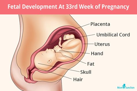 33rd Week Pregnancy: Symptoms, Baby Development And Bodily Changes One Week Pregnant, 33 Week Pregnancy, Ultrasound Gender, Pregnancy Development, First Week Of Pregnancy, Baby Development Milestones, Round Ligament Pain, 33 Weeks Pregnant, Preterm Labor