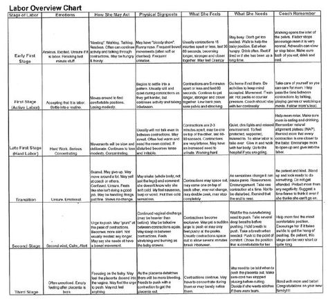 Labor Overview Chart Nurse Charting, Charting For Nurses, Newborn Nursing, Active Labor, Stages Of Labor, Ob Nursing, Pregnancy Info, Labor And Delivery Nurse, Pregnancy Labor