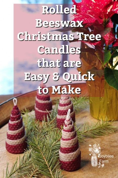 Rolled beeswax Christmas tree candles are a fun and economical way to bring some cheer to your table or tree decorations. They are easy to make even for children, with a little help.  Use them for gift toppers, tree decorations, and table decor.  #beeswaxcandles, #rolledcandles, #beeswax Rolled Beeswax Candles Diy, Havdalah Candle, Ruler Crafts, Rolled Beeswax Candles, Beeswax Candles Diy, Rolled Candles, Tree Candles, Diy Gifts To Make, Winter Holiday Decorations