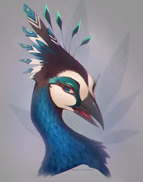 Koko on X: "People seem to absolutely adore Iara she’s a fan favorite lately I only have three pieces of her but all of them are amazing the creator @saphgriffin and the two portrait artists @Momobeda & @julia_tdc 💖🦚 https://t.co/oDBy7M7F7Z" / X Peacock Fursona, Peacock Aarakocra, Peacock Oc, Humblewood Art, Humblewood Character, Albino Peacock, Peacock Wings, Pieces Of Her, Portrait Artists