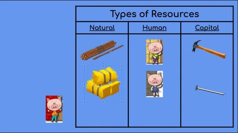 Using “The Three Little Pigs” to explain the 3 types of resources: natural, human, and capital. The Three Little Pigs, Small Business Strategy, Types Of Resources, Business Leadership, Three Little Pigs, Little Pigs, Business Strategy, Pigs, The 3