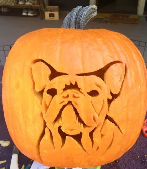 French Bulldog Pumpkin Carving, Frenchie Pumpkin Carving, Pumpkin Carving Stencils Easy, Pumpkin Carving Games, Boo The Dog, Dog Pumpkin, Scary Pumpkin Carving, Pumkin Carving, Easy Pumpkin Carving