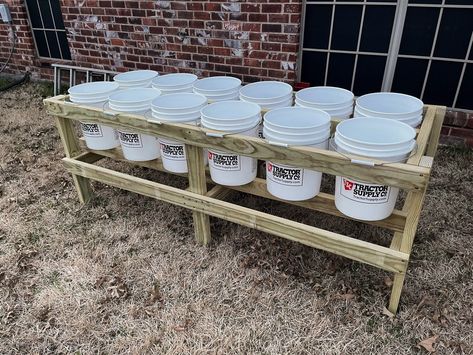 Bucket Garden Stand, Raised Container Garden, Bucket Garden, Raised Garden Beds Diy Vegetables, Bucket Planters, Bucket Gardening, Garden Vegetable, Diy Raised Garden, Raised Garden Beds Diy