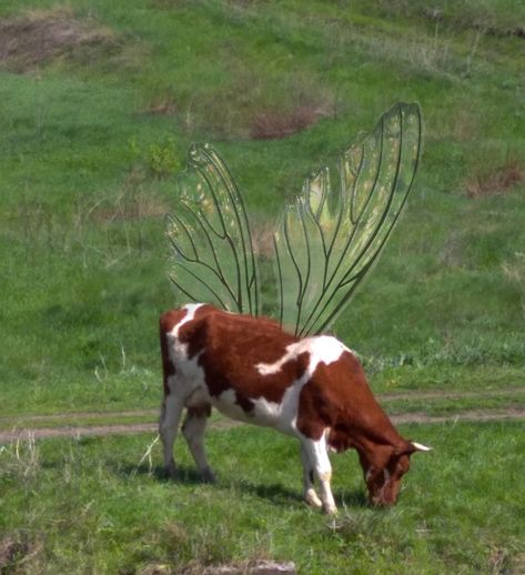 Cow With Wings, Show Cows, Patch Pants, Baby Boom, Party Background, Phone Wallpaper, Cow, Tattoos, Outfit Inspo