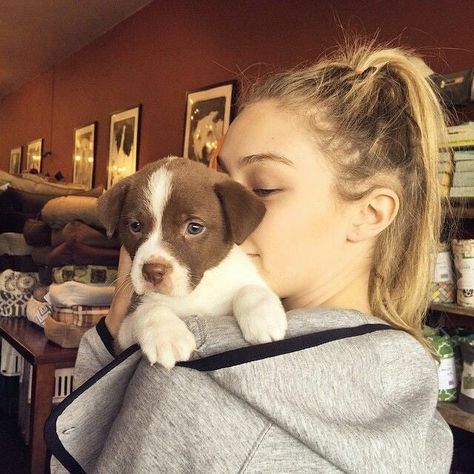 Gigi Hadid Instagram, Gigi Hadid Icons, Messika Jewelry, Hadid Instagram, Gigi Hadid, A Dog, On Twitter, Twitter, Instagram