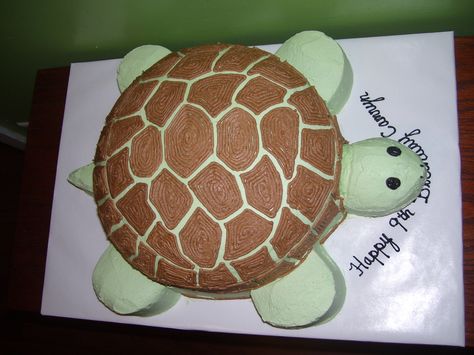 Easy Turtle Cake Birthdays, Tortoise Cake Birthdays, Turtle Cakes Ideas, Turtle Cake Birthday, Turtle Shaped Cake, Turtle Cake Design, Turtle Smash Cake, Turtle Cake Ideas, Sea Turtle Birthday Cake