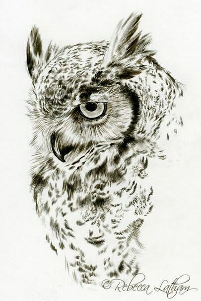 Owl Sketch, Vogel Tattoo, Bird Sketch, Owl Tattoo Design, Animal Art Prints, Owls Drawing, Desenho Tattoo, Owl Tattoo, Birds Tattoo