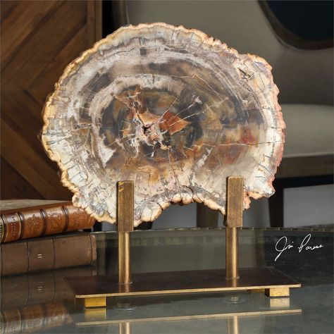 Revelation by Uttermost - Petrified Wood Petrified Wood Decor, Cowhide Chair, Upscale Furniture, Faux Cowhide, Framed Abstract, Wood Display, Petrified Wood, Rustic Cabin, Sculptures & Statues